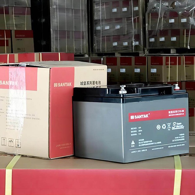 山特城堡C12系列免维护UPS蓄电池产品图2